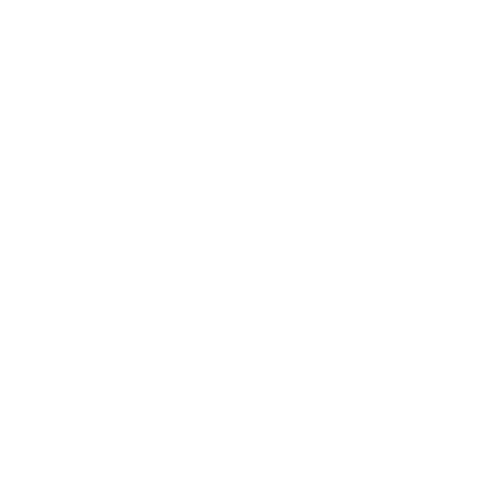 Faser Logo